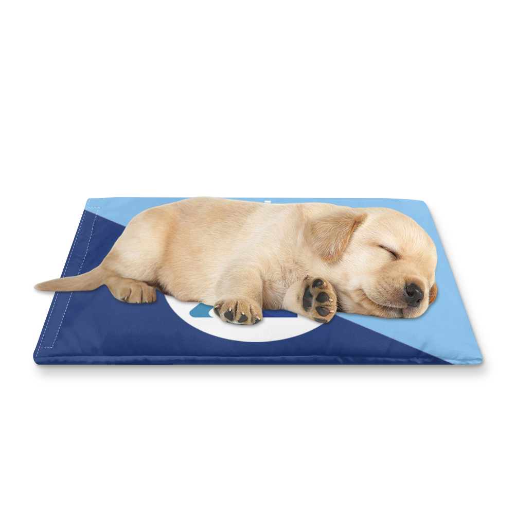pet ice pack